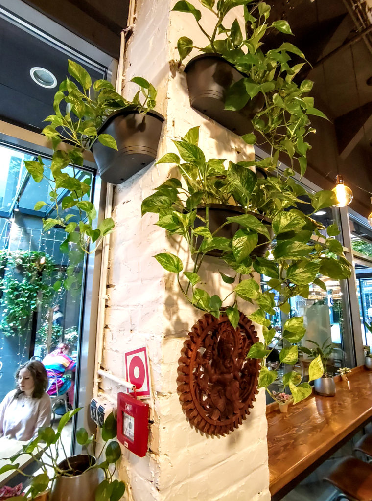 Decorul localului Vegan Garden