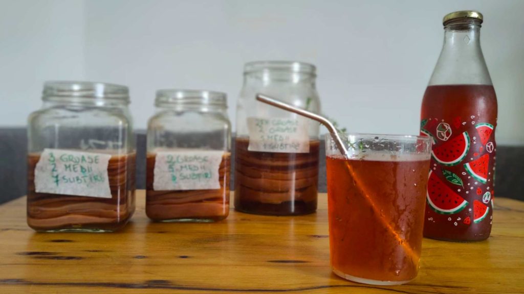 Kombucha