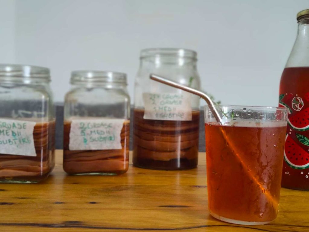 Kombucha