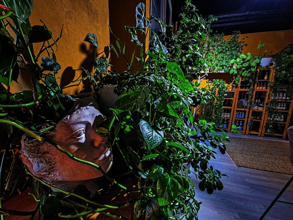 Decor la PlantEat /it/
