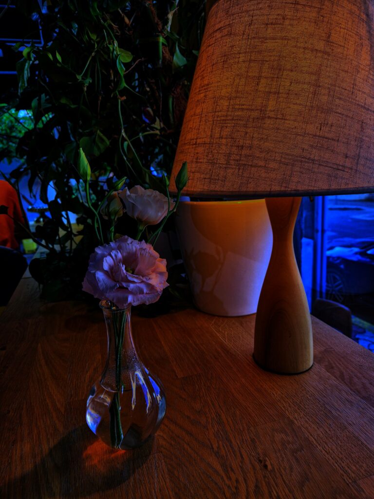 Decor la PlantEat /it/