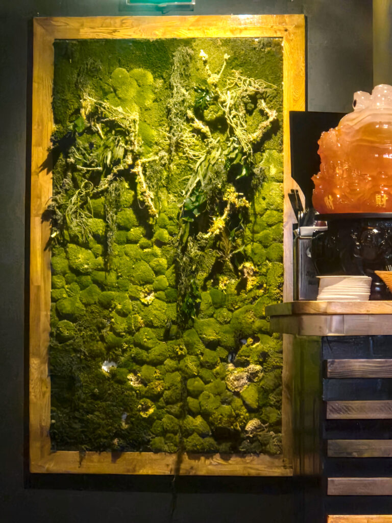 Soy Vegan, în Munchen